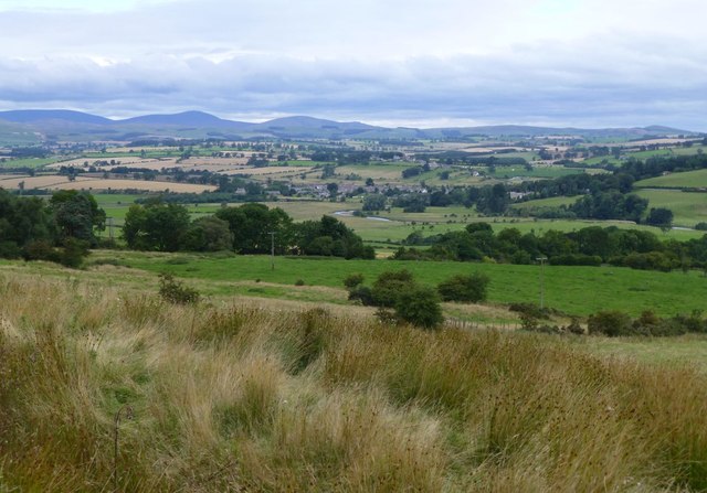 Reeds and pasture above the River Coquet