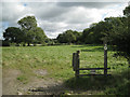 Redundant stile into a pasture