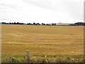 Farmland, Port Mulgrave