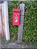 TM0981 : Hall Lane Postbox by Geographer