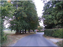 TM0981 : Baynard's Lane, Baynard's Green by Geographer