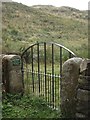 NY9393 : A pedestrian gateway to the Mote Hills, Elsdon by Stanley Howe