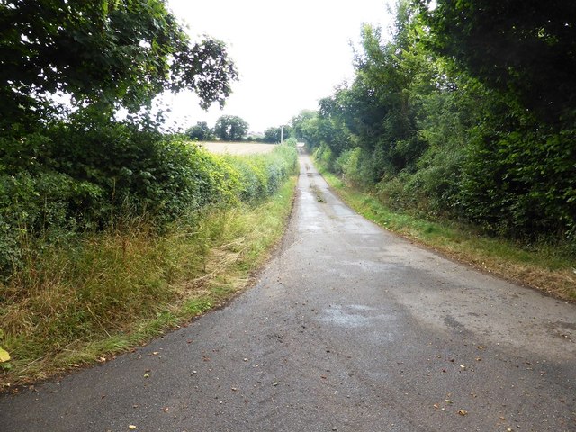 Lane to Upper Farm, near Bradley