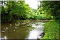 River Esk, Near Egton Bridge