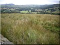 View to Grasslees Valley