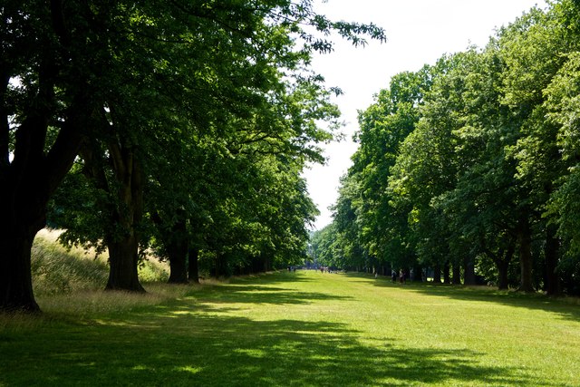 The Avenue, Gibside