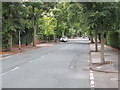 Lidgett Park Road - The Avenue