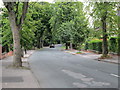 Lidgett Park Road - The Avenue