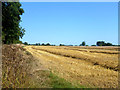 Fieldside Footpath, Bayworth