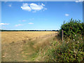 Stubble Field, Bayworth