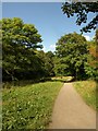 Frome Valley Walkway near Wickham Bridge