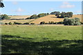 Footpath in the Wolds