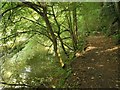 Path by the Frome