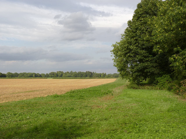 Landscape near Denton