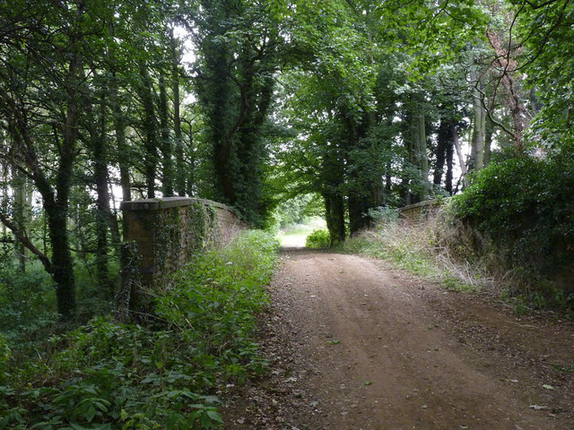 Old railway bridge in the woods