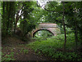 Old railway bridge in the woods