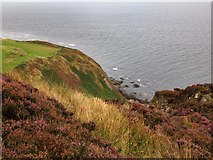 NR7612 : Coastal Cliffs, South Kintyre by wrobison