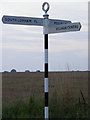 TM0781 : Roadsign on High Road by Geographer