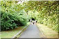 South Downs Way about to enter Winchester