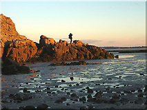SD4573 : Low tide - evening at Jenny Brown's Point by Karl and Ali