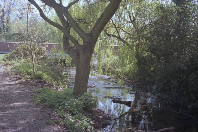River Misbourne Denham Country Park