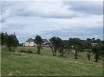 N0429 : View eastwards towards Clonfinlough Chapel and Parochial House by Eric Jones