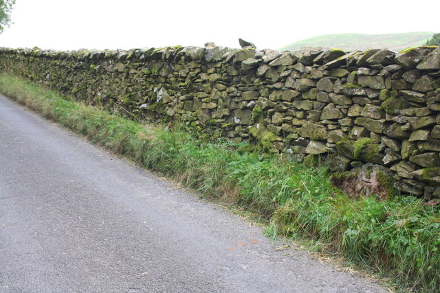 Fairmile Road above High Carlingill