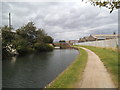 Canal Bridge View