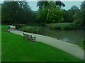 Venturing Around Pond in Hampden Park