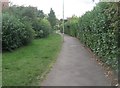 Path behind Primrose Gardens