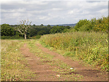 SP1061 : Farm track near Upper Spernall Farm by David P Howard
