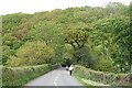 Bridford: by Sowton Cott Bridge