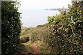 Wembury: upper path at Heybrook Bay