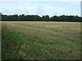 Farmland, Skellingthorpe