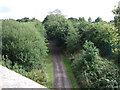 Cycle path on disused railway