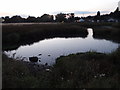 Pond on Rawdon Common