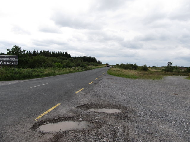 Looking west along the R357 from the Lough Boora Parklands