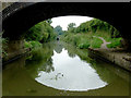SP6692 : Grand Union Canal near Saddington, Leicestershire by Roger  D Kidd