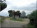 Bere Farm grain silos