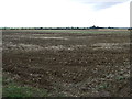 Farmland off Eastfield Lane