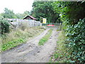 Track off Thursley Road, Elstead