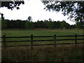 Grazing off Hackthorn Road