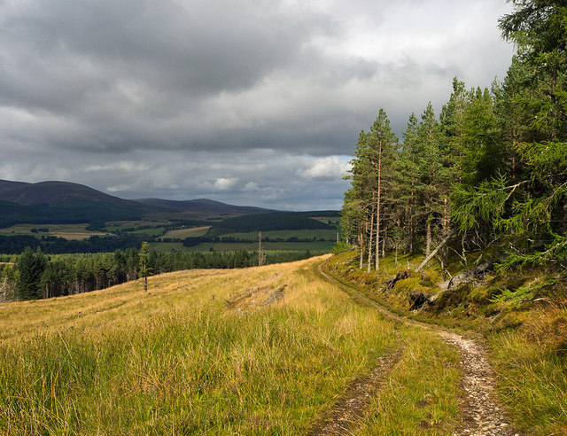 Forestry road on the flank of Cnoc Duchaire