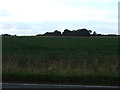 Farmland off the A46