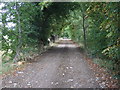 Track to Nettleham Heath Farm