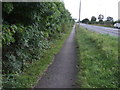 Dual use path beside Welton Road