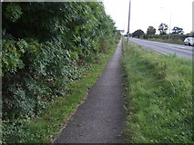 TF0075 : Dual use path beside Welton Road by JThomas