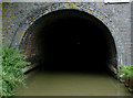 SP6692 : Tunnel portal near Saddington, Leicestershire by Roger  Kidd
