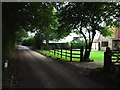 Pleasure House Lane, near Sutton Valence