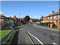 Nowell Mount - viewed from Nowell Gardens